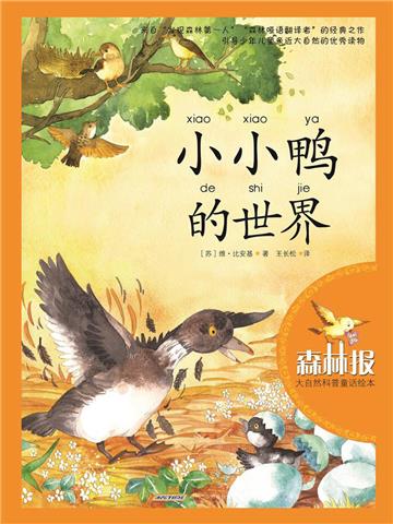 小小鸭的世界