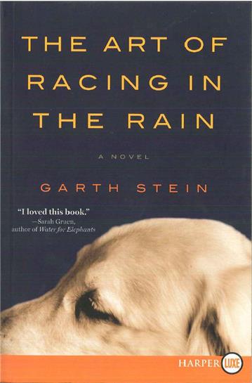 Art of Racing in the Rain