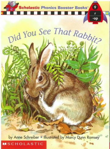 Phonics Booster Books 09: Did You See That Rabbit?