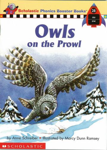 Phonics Booster Books 28: Owls on the Prowl