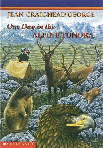 One Day in the Alpine Tundra