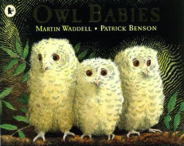 Owl Babies