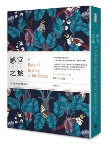 感官之旅