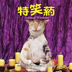 特笑葯