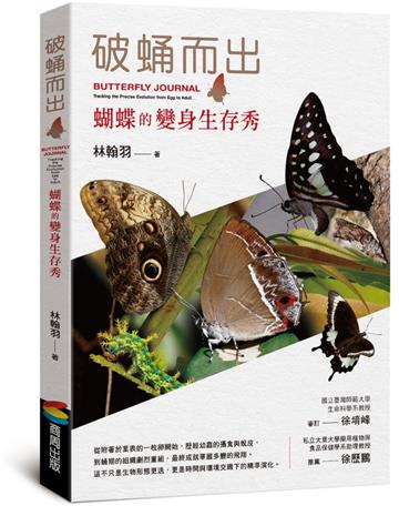 破蛹而出：蝴蝶的變身生存秀