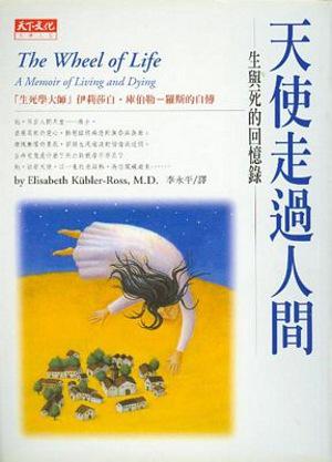 天使走過人間:生與死的回憶錄