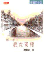那一年,我在萊頓