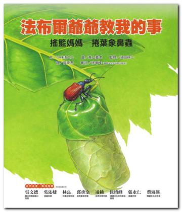 搖籃媽媽:捲葉象鼻蟲:法布爾爺爺教我的事