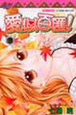 愛似百匯（19）