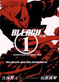 BLEACH死神(1):Letters form the Other Side