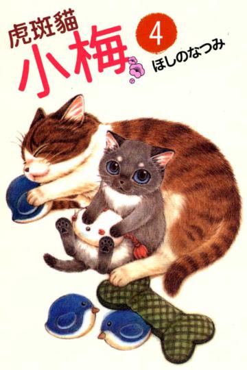 虎斑貓小梅(4)