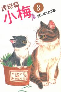 虎斑貓小梅（8）