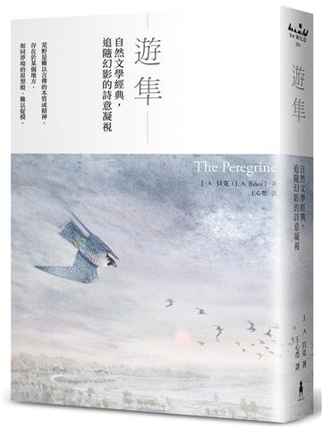 遊隼：自然文學經典，追隨幻影的詩意凝視