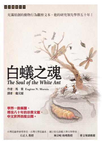 白蟻之魂
