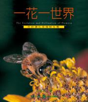 一花一世界