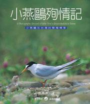小燕鷗殉情記