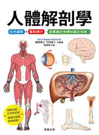 人體解剖學