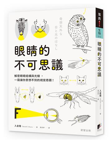 眼睛的不可思議：解密眼睛結構與光線，一窺讓你意想不到的視覺奇蹟！