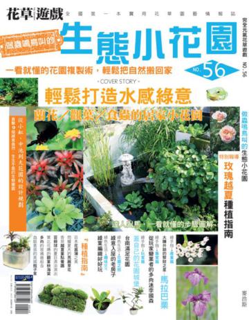 花草遊戲(56):做蟲鳴鳥叫的生態小花園