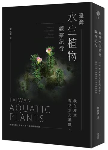 臺灣水生植物觀察紀行：我在溼地看見水光葉影 棲地生態×物種詳解×尋訪路線推薦