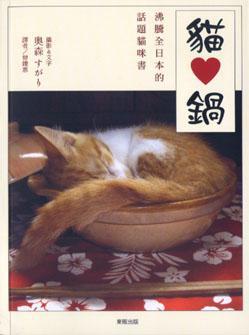 貓愛鍋