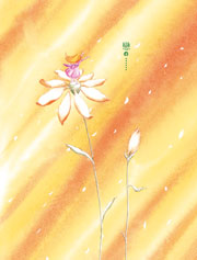 戀的......（戀的芬多精禮物書）