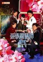 愛情魔髮師電視小說