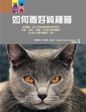 如何養好純種貓
