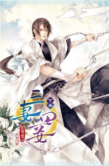 三妻四妾(下)(新版)