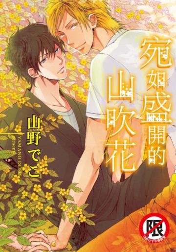 宛如盛開的山吹花（全）