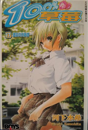 100%的草莓17