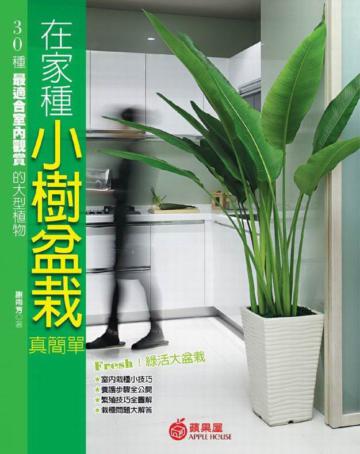在家種小樹盆栽真簡單:30種最適合室內觀賞的大型植物