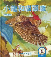 小龍和貓頭鷹