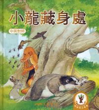 小龍藏身處