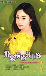飛來橫禍打中妳