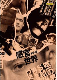 感官世界