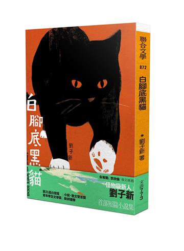 白腳底黑貓