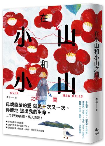 在小山和小山之間：故事大爆炸年度首獎之作