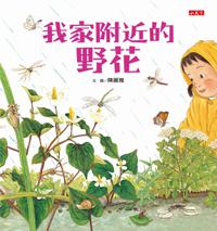 我家附近的野花