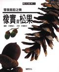 橡實與松果