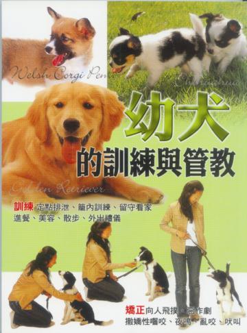 幼犬的訓練與管教