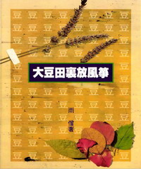 大豆田裏放風箏