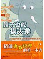 瞎子也能摸大象