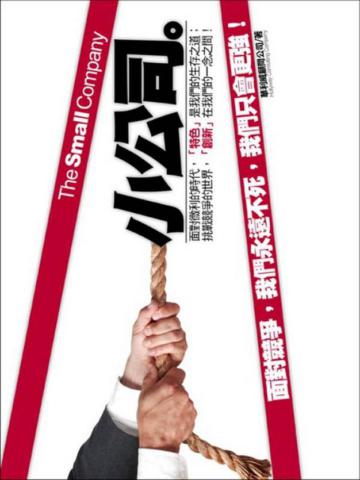 小公司