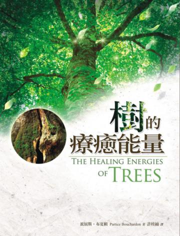 樹的療癒能量