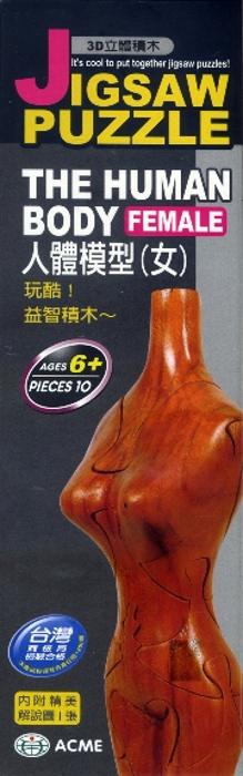 3D立體積木:人體模型(女)