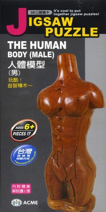 3D立體積木：人體模型（男）