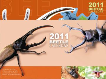 2011年甲蟲月曆［掛圖］