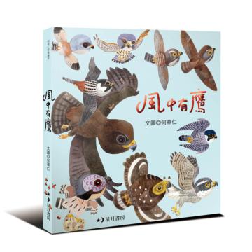 風中有鷹
