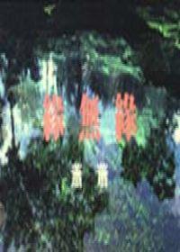 緣無緣